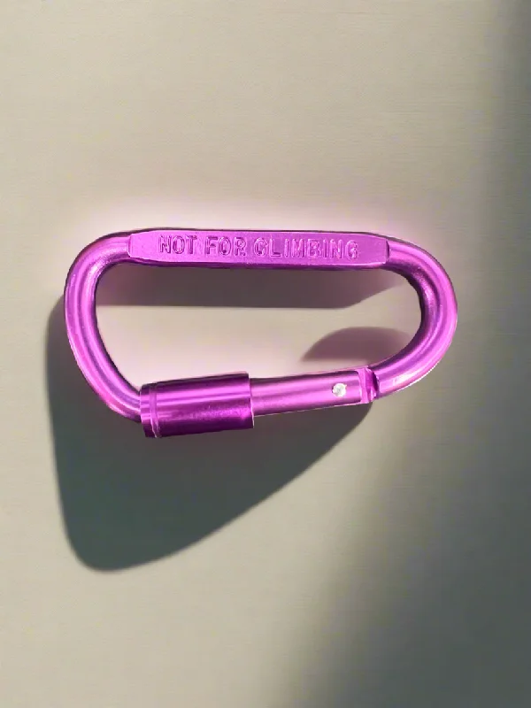 Screw Fastened Carabiner -$2.50